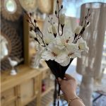 بوته آلستر