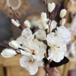بوته آلستر - Image 2